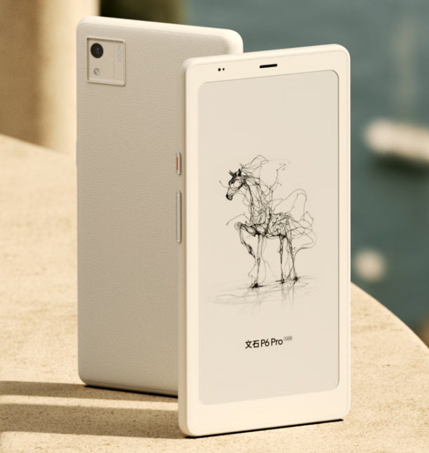 P6Pro